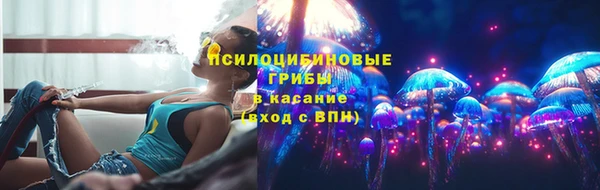 спиды Аркадак