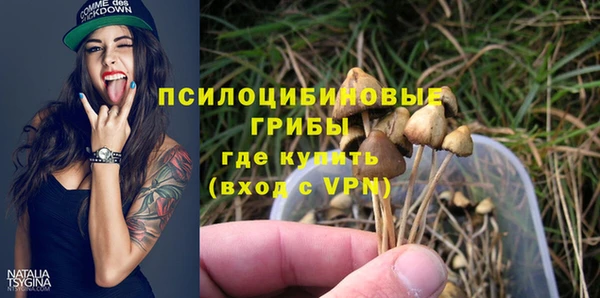 хмурый Армянск
