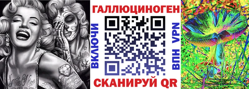 Псилоцибиновые грибы Cubensis  Карабулак 